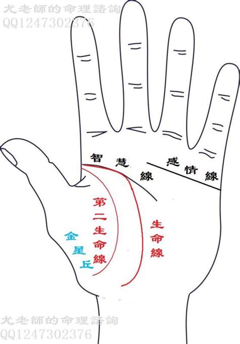 生命線分兩條|多數人只有一條生命線，解密兩條生命線代表什麼？